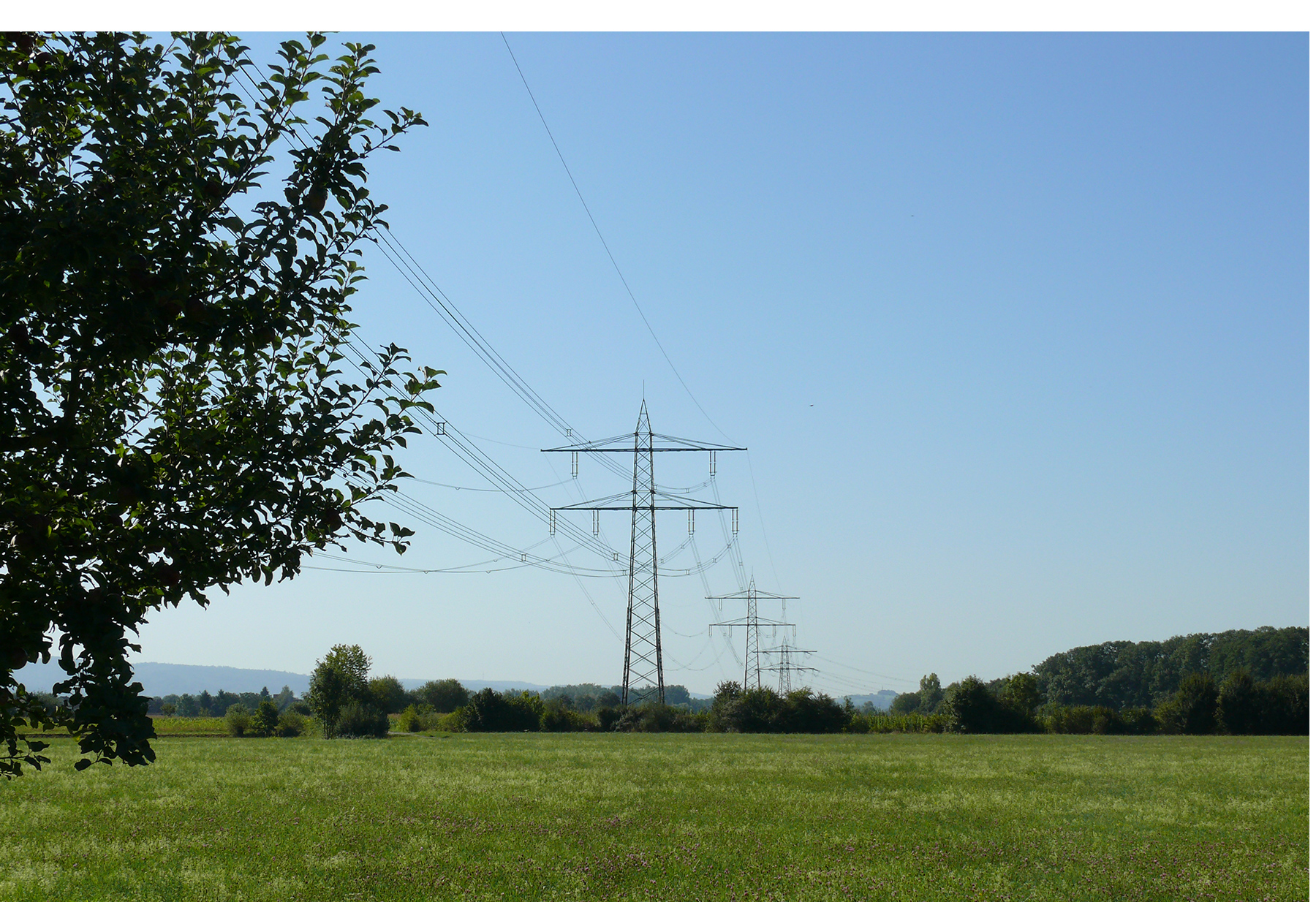 Hintergrundbild der Gemeinde Schutterwald